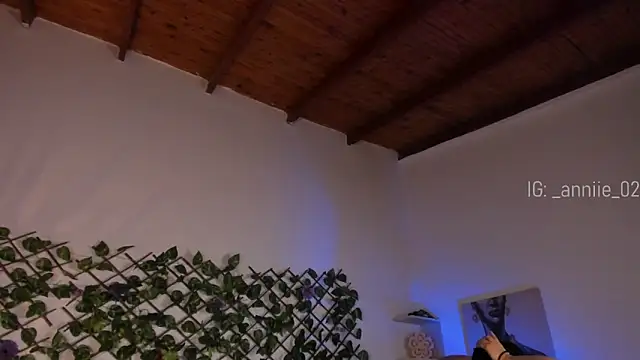 annie barozzi online show from 01/24/25, 01:36