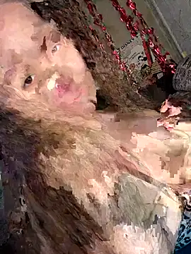 Snapshot of Var_Kiss chatting on 04/21/26, 05:14 Var Kiss online show from 04/21/26, 05:14