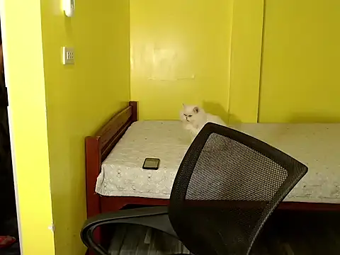 xx goddessofallgodess xx online show from 10/02/25, 02:51