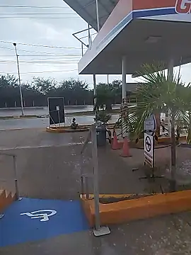 sagrado 1989 online show from 01/12/26, 10:04