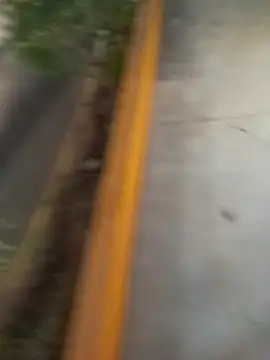 Snapshot of sagrado_1989 chatting on 02/08/26, 01:31 sagrado 1989 online show from 02/08/26, 01:31