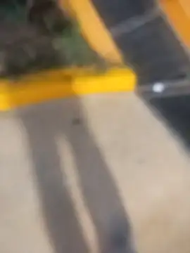 Snapshot of sagrado_1989 chatting on 02/23/26, 01:47 sagrado 1989 online show from 02/23/26, 01:47