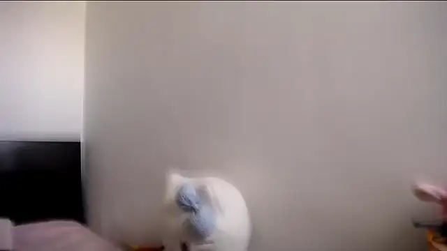 MARIANADIRTY online show from 11/11/25, 02:17