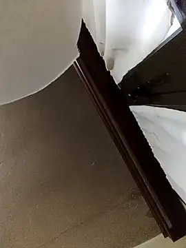 White rabbit  online show from 12/11/24, 04:53