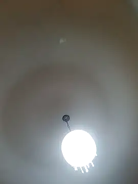 White rabbit  online show from 02/26/25, 07:16