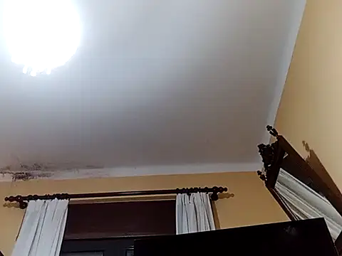 White rabbit  online show from 02/27/25, 09:14