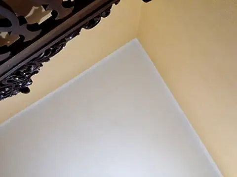 White rabbit  online show from 10/29/25, 10:00