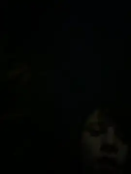 Snapshot of sahorix1 chatting on 10/11/25, 11:47 sahorix1 online show from 10/11/25, 11:47