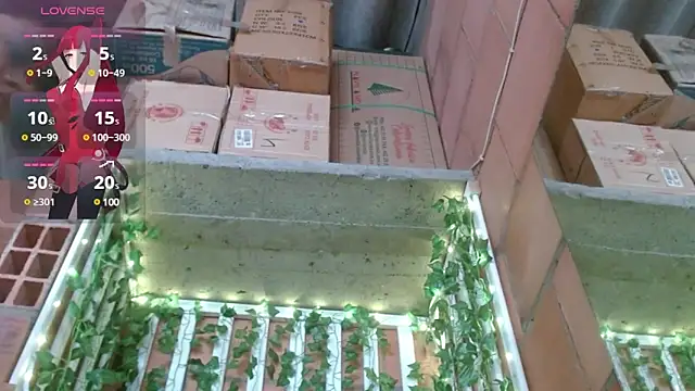 Snapshot of belindathompson chatting on 02/25/25, 09:24 belindathompson online show from 02/25/25, 09:24