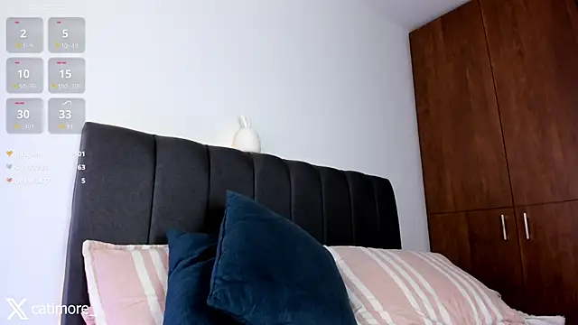 Snapshot of catimore chatting on 01/29/25, 05:35 catimore online show from 01/29/25, 05:35