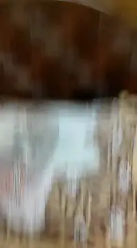 Ansh731989 online show from 01/29/25, 05:45