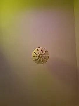 cuci45 online show from 10/11/25, 06:28