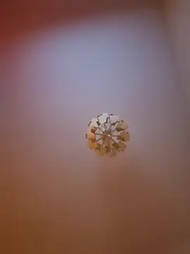 Snapshot of cuci45 chatting on 03/31/26, 06:30 cuci45 online show from 03/31/26, 06:30