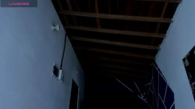 ink demonxxx online show from 03/21/25, 03:33