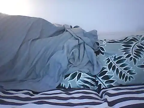 Snapshot of Malcomvs97 chatting on 01/28/25, 08:04 Malcomvs97 online show from 01/28/25, 08:04