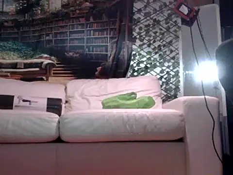 Snapshot of OSIRlS chatting on 02/19/25, 01:17 OSIRlS online show from 02/19/25, 01:17