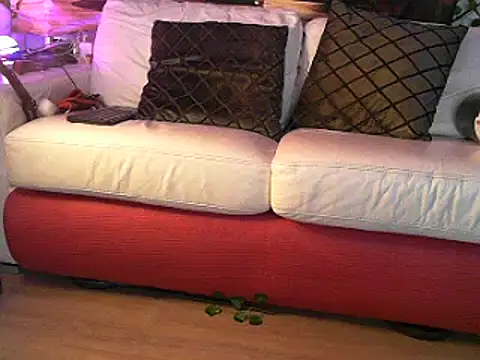 Snapshot of OSIRlS chatting on 03/02/25, 12:43 OSIRlS online show from 03/02/25, 12:43