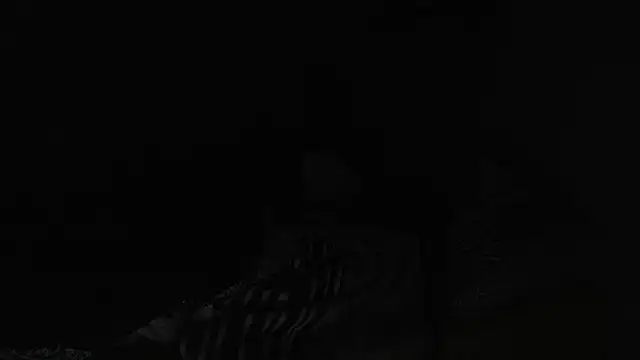 Snapshot of BELINDAXXXXX chatting on 12/13/24, 08:04 BELINDAXXXXX online show from 12/13/24, 08:04