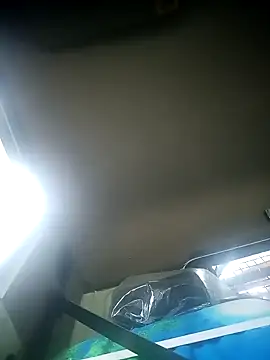 Snapshot of Driver-naru chatting on 12/11/24, 01:37 Driver-naru online show from 12/11/24, 01:37