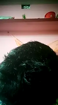 Snapshot of Driver-naru chatting on 02/07/25, 08:31 Driver-naru online show from 02/07/25, 08:31