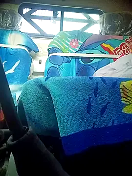 Snapshot of Driver-naru chatting on 02/13/25, 08:38 Driver-naru online show from 02/13/25, 08:38