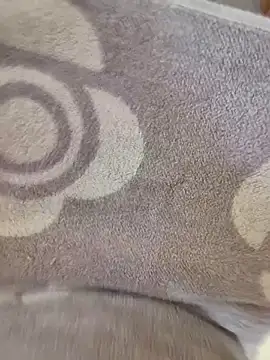 Snapshot of cuminpussyalot chatting on 03/08/26, 01:26 cuminpussyalot online show from 03/08/26, 01:26