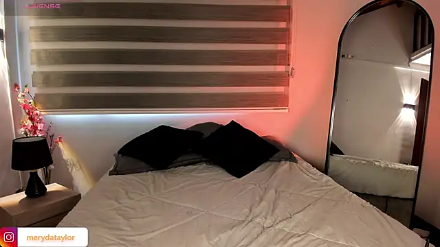 Snapshot of MERIDA_TAYLOR chatting on 11/28/25, 01:47 MERIDA TAYLOR online show from 11/28/25, 01:47