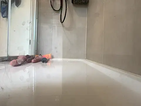 Snapshot of angelus112 chatting on 03/29/26, 03:56 angelus112 online show from 03/29/26, 03:56