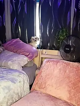 Snapshot of SexyNikki6969 chatting on 03/31/26, 09:59 SexyNikki6969 online show from 03/31/26, 09:59