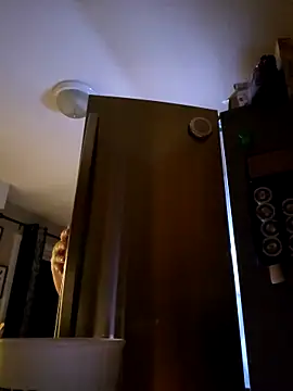 Snapshot of SexyNikki6969 chatting on 04/16/26, 10:16 SexyNikki6969 online show from 04/16/26, 10:16