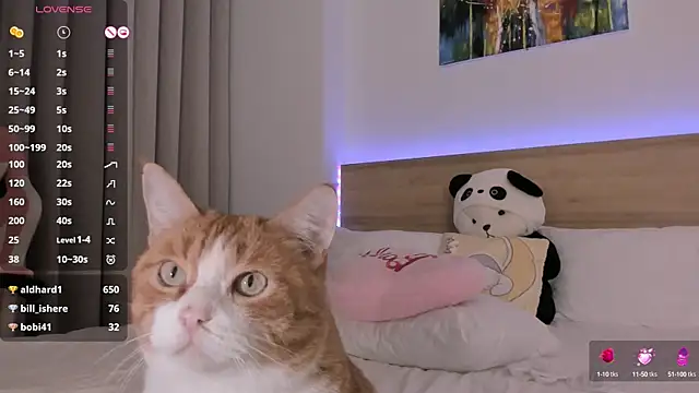 Lenstardi online show from 02/15/25, 09:15