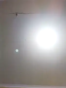 Snapshot of DangerousSafari chatting on 11/03/25, 02:29 DangerousSafari online show from 11/03/25, 02:29