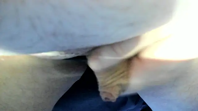 Snapshot of Big_Andiy chatting on 09/12/25, 02:33 Big Andiy online show from 09/12/25, 02:33