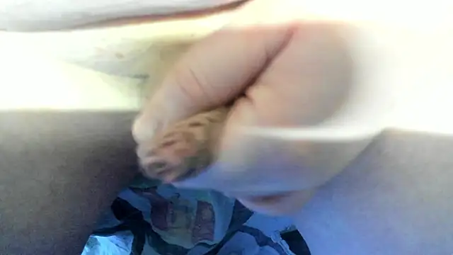 Snapshot of Big_Andiy chatting on 12/19/25, 04:19 Big Andiy online show from 12/19/25, 04:19