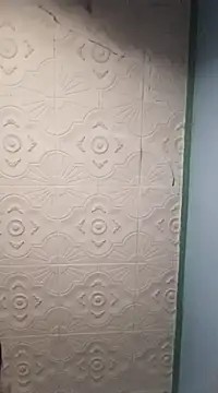 HAIRY PUSSY BIG online show from 01/01/25, 01:05