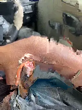 Snapshot of Dakku_69 chatting on 03/04/26, 09:48 Dakku 69 online show from 03/04/26, 09:48