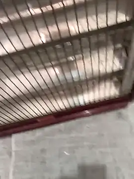 Snapshot of mustican422 chatting on 10/25/25, 11:07 mustican422 online show from 10/25/25, 11:07