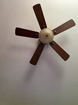 Snapshot of QueenNuttCollector chatting on 03/27/26, 04:40 QueenNuttCollector online show from 03/27/26, 04:40