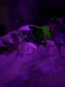 Themechanic420 online show from 02/01/26, 02:37