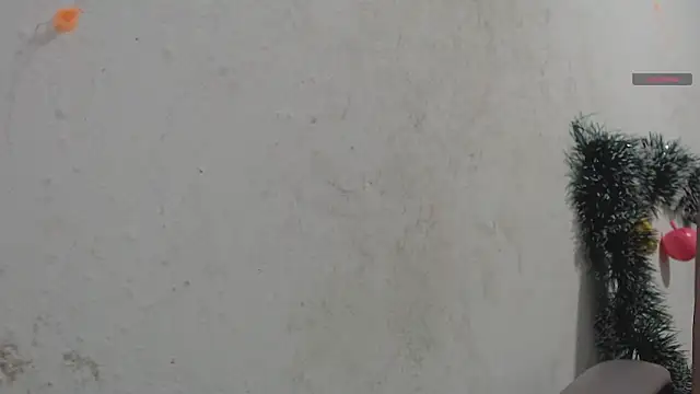 toxxxic cams online show from 01/07/26, 04:59