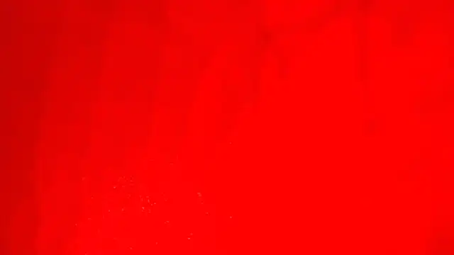 Snapshot of KarimaSarabe chatting on 11/28/25, 09:17 KarimaSarabe online show from 11/28/25, 09:17