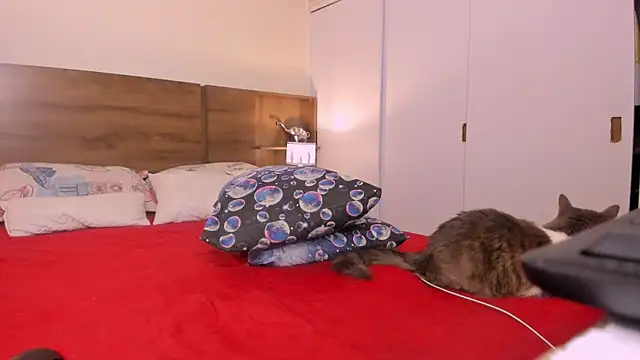 Snapshot of emily_adams01 chatting on 02/27/25, 12:43 emily adams01 online show from 02/27/25, 12:43