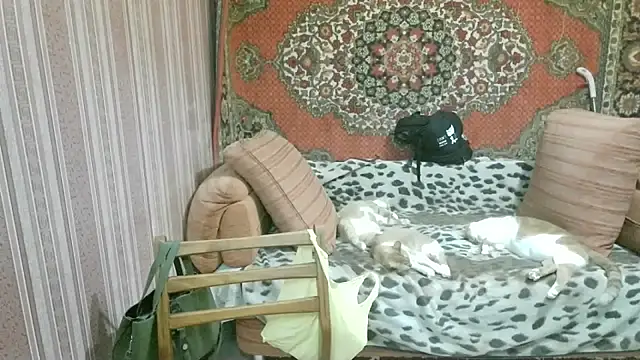 Kathlyn  Heath online show from 02/18/26, 01:34