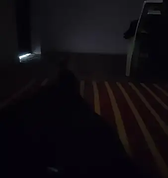 sandy-006 online show from 11/14/25, 10:36