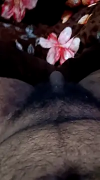 Naughtyforpussy online show from 02/01/25, 11:27