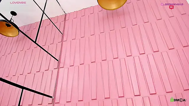 Snapshot of Briana_Wells_ chatting on 12/20/24, 02:38 Briana Wells  online show from 12/20/24, 02:38