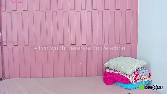 Snapshot of Briana_Wells_ chatting on 09/15/25, 01:33 Briana Wells  online show from 09/15/25, 01:33