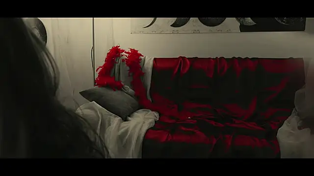 WebCora online show from 01/17/25, 06:02