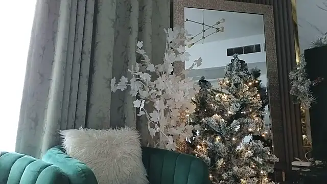 Snapshot of Allys chatting on 12/17/24, 06:13 Allys online show from 12/17/24, 06:13