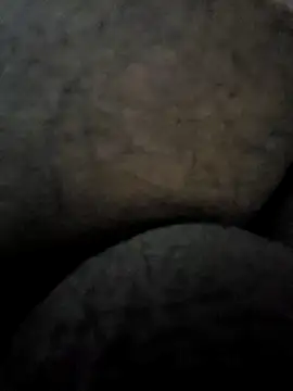 Snapshot of Mallupaiyanaachu chatting on 02/03/25, 04:31 Mallupaiyanaachu online show from 02/03/25, 04:31